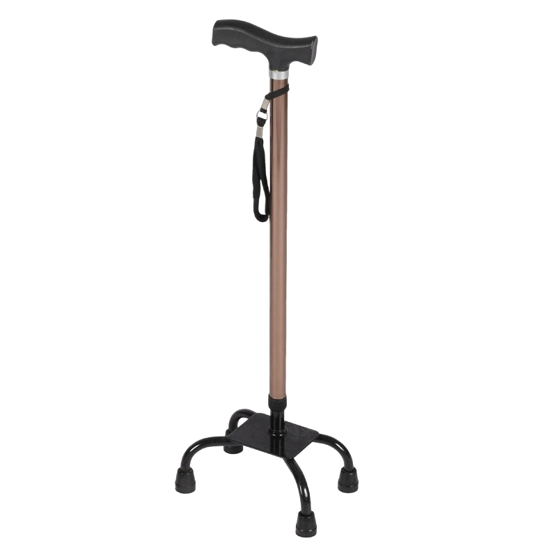 Wat zijn de voordelen van het gebruik van een wandelstok?